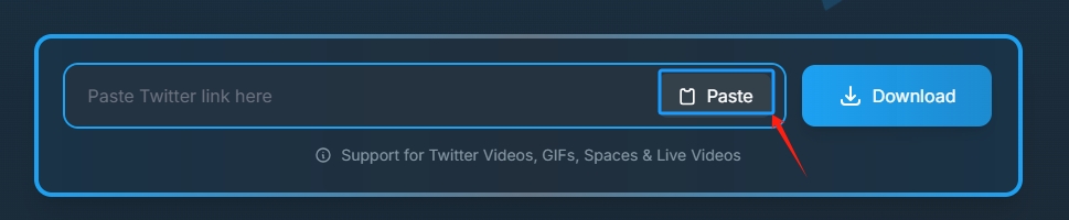 Step 2: Paste Link in Twitter Video Downloader