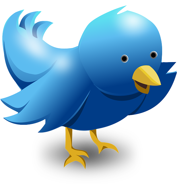 Twitter Video Downloader